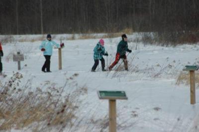 Cross Country skiing on the trails
